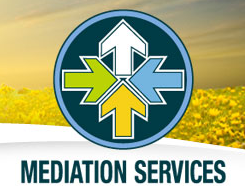 Mediation Services